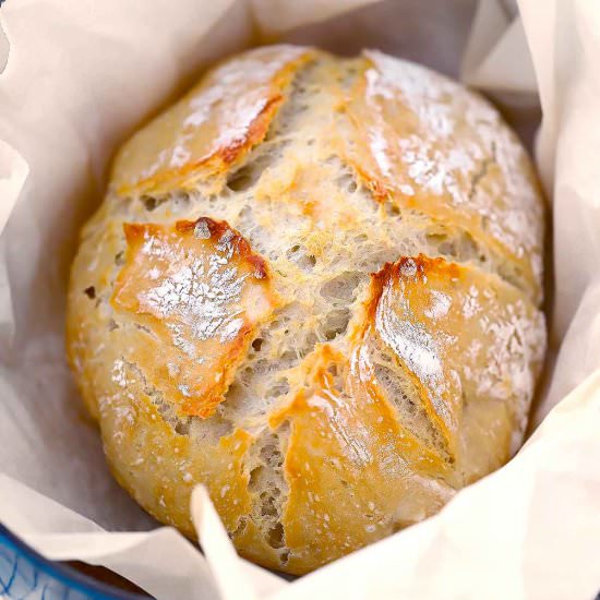 Dutch Oven No Knead Bread
