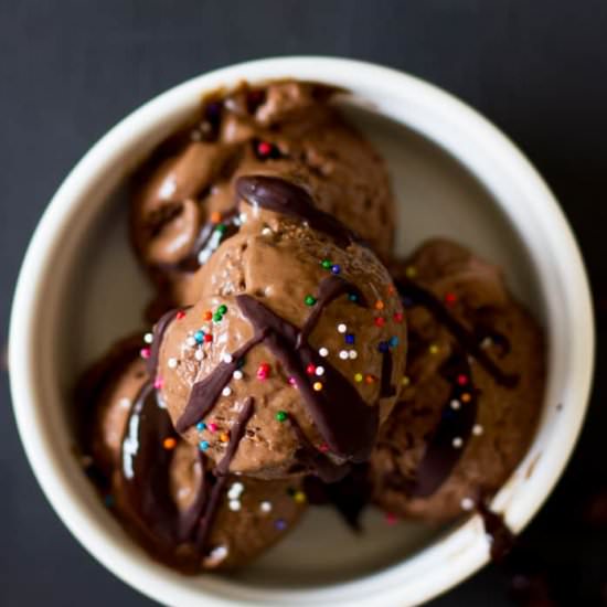 Vegan Chocolate Avocado Ice Cream