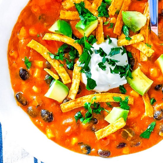 Chicken Enchilada Soup