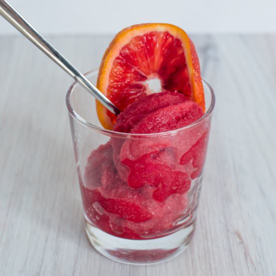 Blood Orange and Rooibos Sorbet