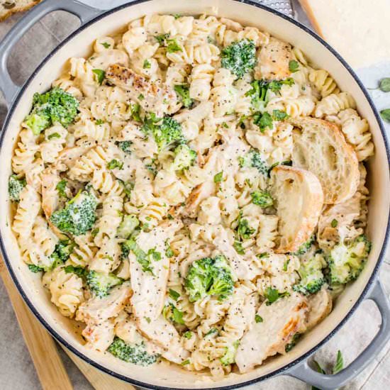 Broccoli Chicken Alfredo Recipe