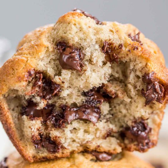 Banana Chocolate Chip Muffins