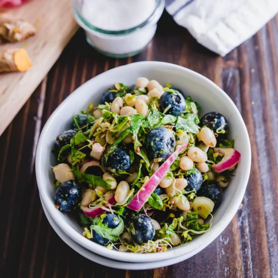 Blueberry White Bean Salad