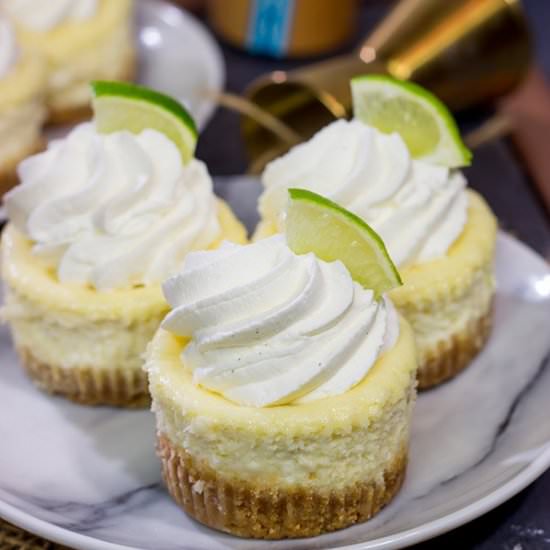 Mini Margarita Cheesecakes