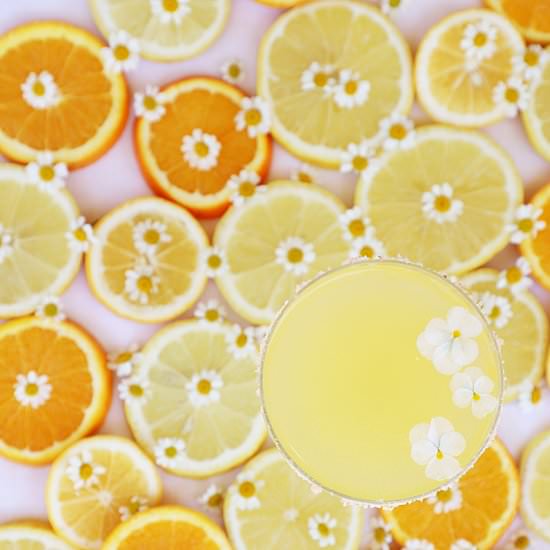 meyer lemon drop cocktail