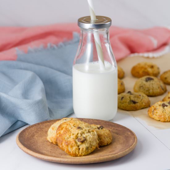 Coconut Almond Meal Cookies