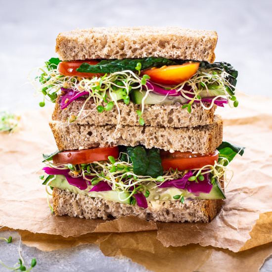 How to Grow Alfalfa Sprouts at Home