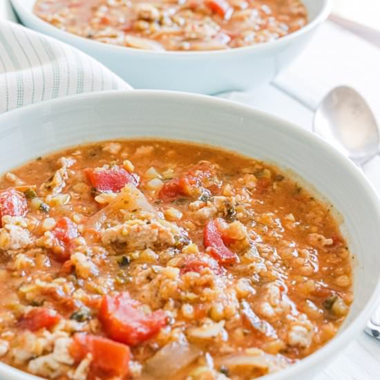 CURRY LENTIL AND TURKEY STEW