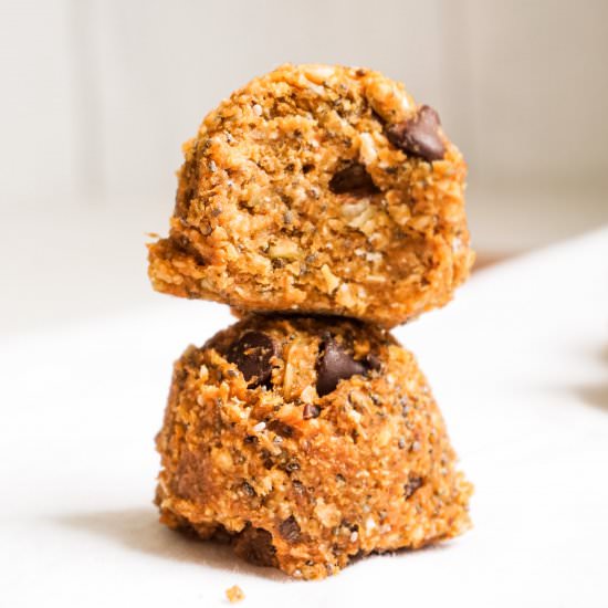 Pumpkin Protein Energy Bites
