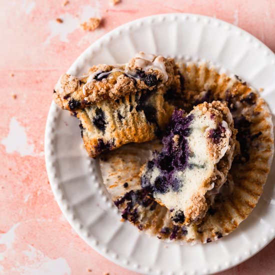 Single Serve Blueberry Muffin