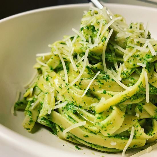 Pasta with Spinach Cream Cheese Sauce