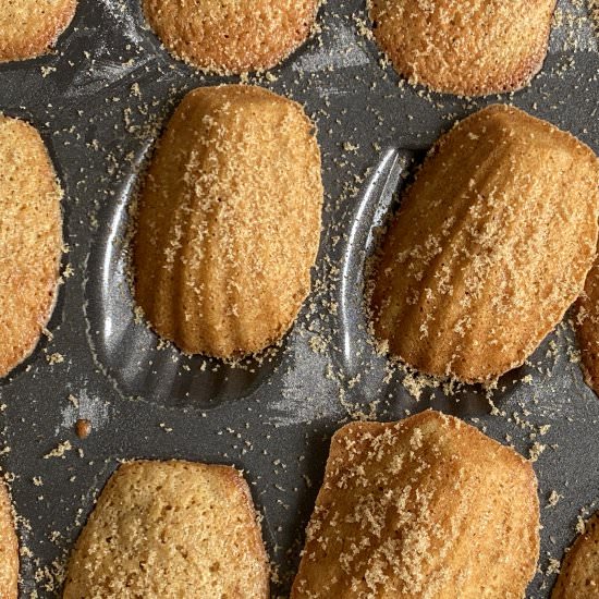 Classic French Madeleines
