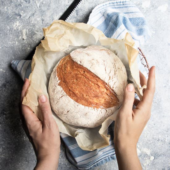 Instant Pot No Knead Bread
