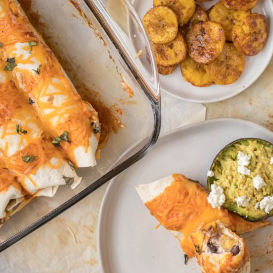 Vegetarian Enchiladas