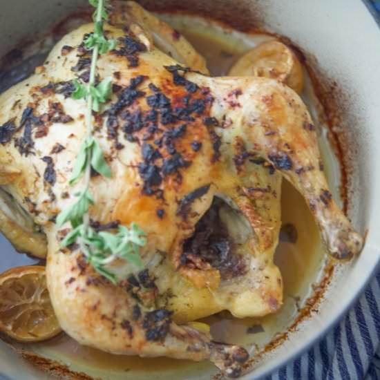 Roasted Greek Chicken