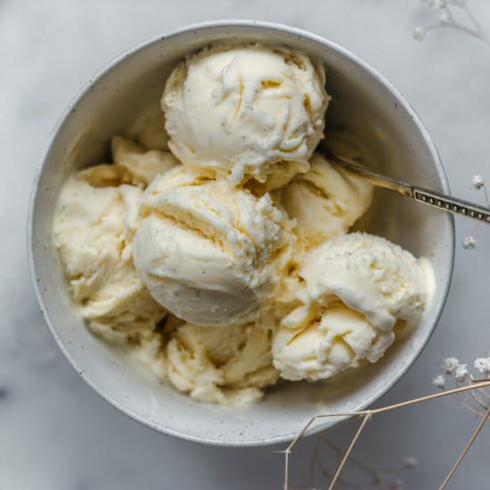 Homemade vanilla custard ice cream