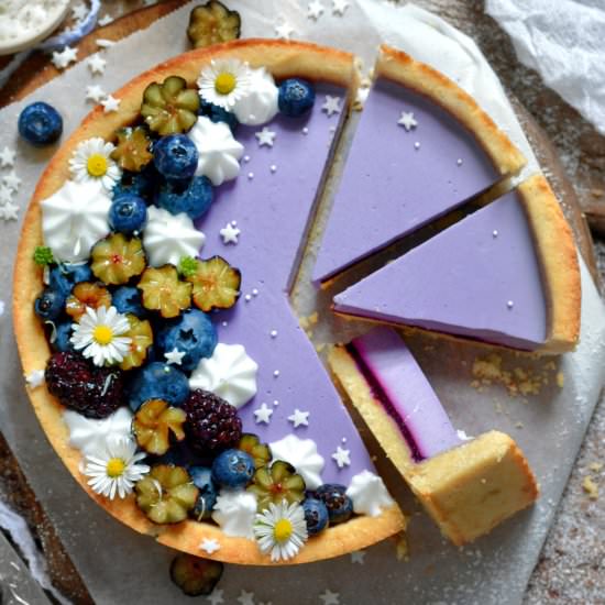 Easy Vegan Blueberry and Jam Tart