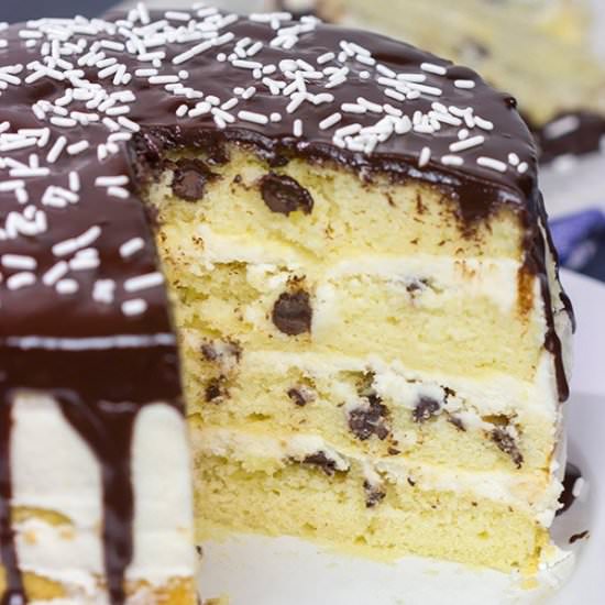Chocolate Chip Cake