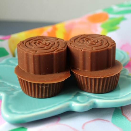 Chocolate Peanut Butter Keto Bombs