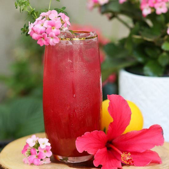 HibisKiss Lemonade Cocktail
