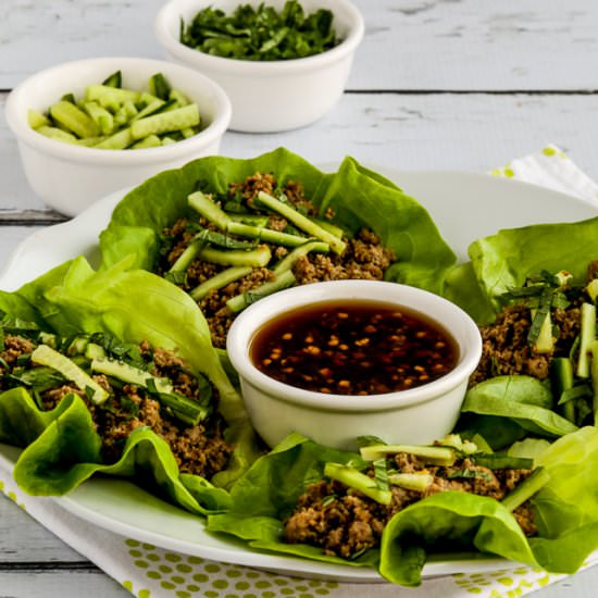 Thai Turkey Lettuce Wraps