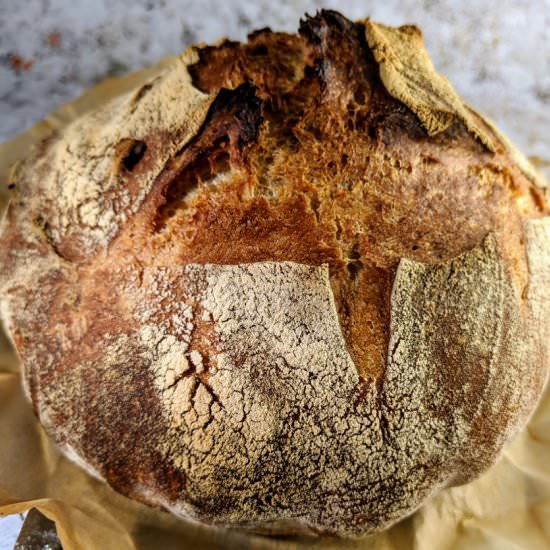 Sourdough Bread from Scratch