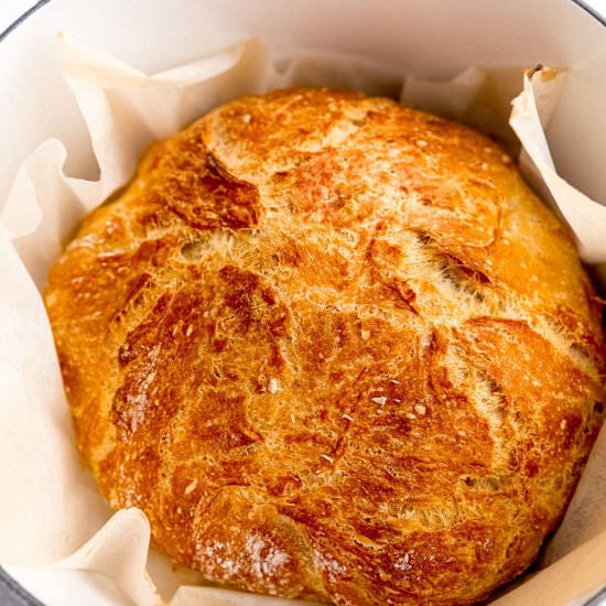 No Knead Bread (Dutch Oven Bread)