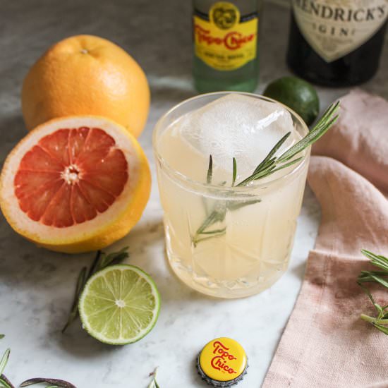 Grapefruit Gin Fizz