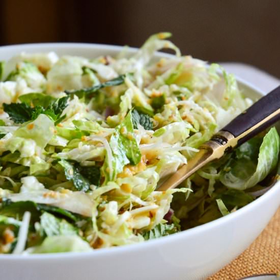 Brussels Sprout Coleslaw