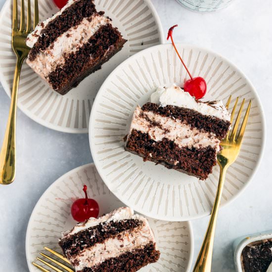 Vegan Chocolate Ice Cream Cake