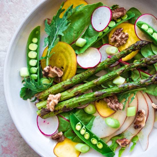 Spring Colours Salad (vegan + gf)