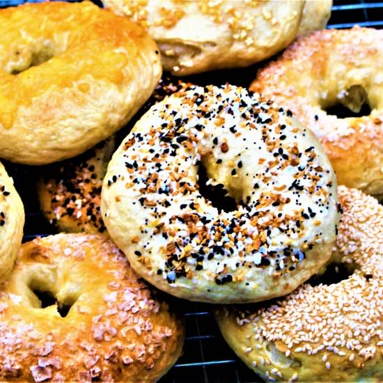 New York Style Bagels