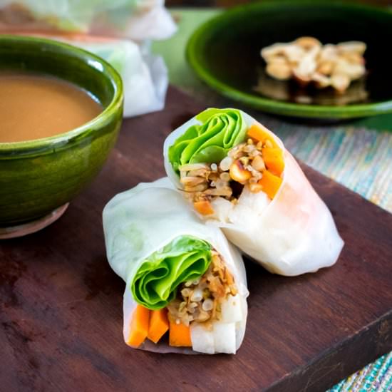 Vegetarian spring rolls