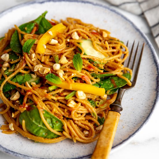 Thai Peanut Noodle Salad (Vegan)