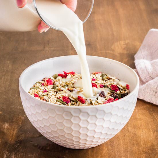 How to Make Hemp Milk (vegan)