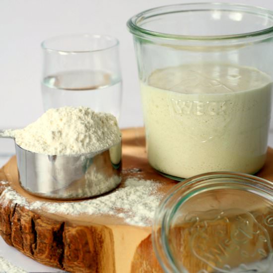 Make a Mini Sourdough Starter