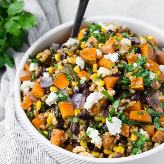 Southwestern Farro Salad