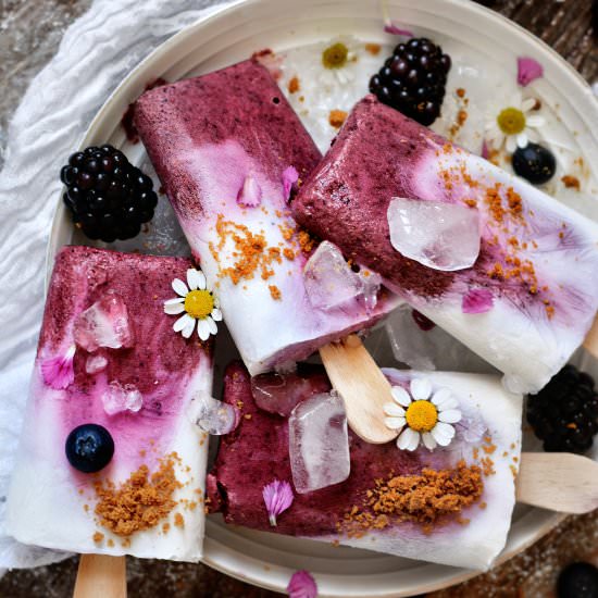 Vegan Blackberry, Kirsch Popsicles