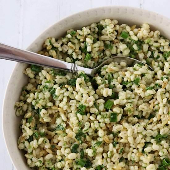 Warm Barley Salad with Fresh Herbs
