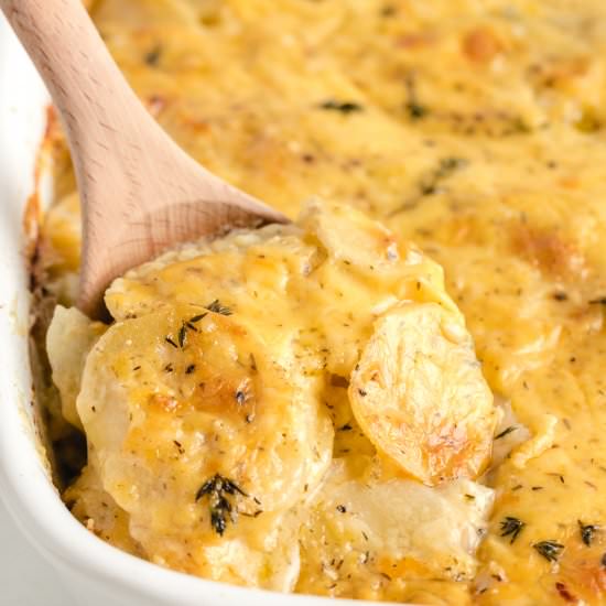 Scalloped Potatoes