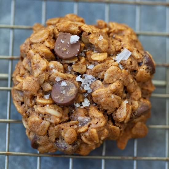 Vegan Peanut Butter Oatmeal Cookies