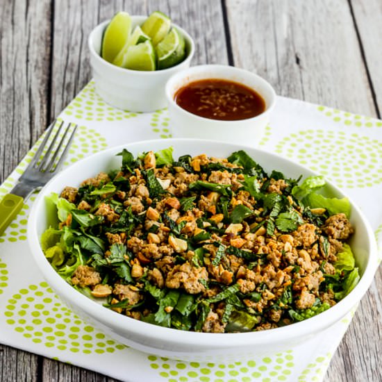 Thai-Inspired Turkey Larb Salad