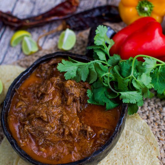 INSTANT POT MEXICAN SHREDDED BEEF