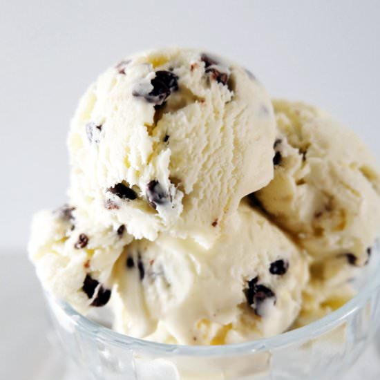Mint Chocolate Chip Ice Cream