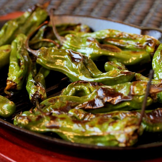 Blistered Shishito Peppers