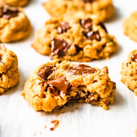 Peanut butter chocolate chip cookie