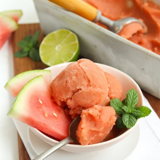 Watermelon Mojito Sorbet