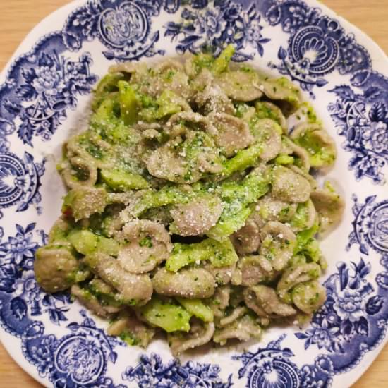 Italian Orecchiette with Broccoli
