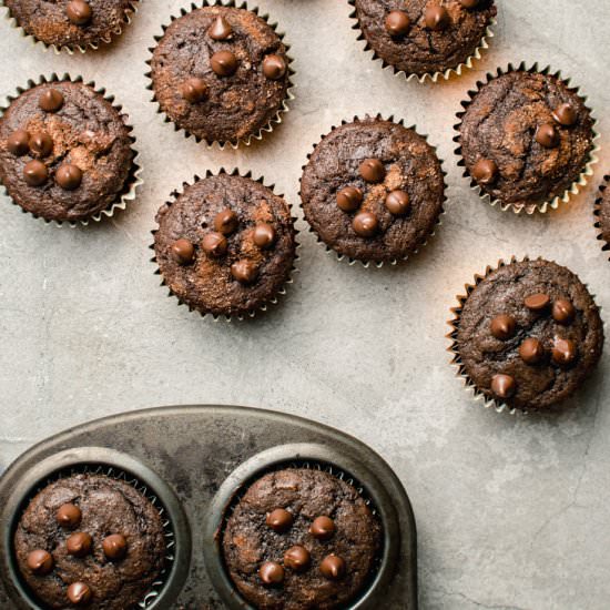 Double Chocolate Chip Muffins