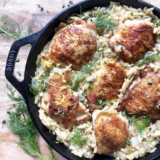 chicken with orzo, fennel & leeks